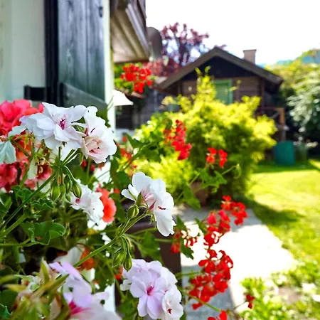 Holiday home Waxenstein